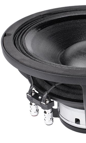 10-inch FaitalPRO speakers
