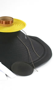 Recone kits to repair Celestion guitar speakers