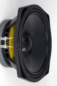 Haut-parleurs PHL Audio diamètre 20 cm / 8 pouce
