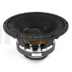 Coaxial speaker Radian 5210, 8+8 ohm, 10 inch