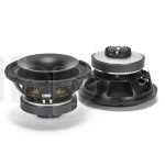 Coaxial speaker RCF CX10G251, 8+8 ohm, 10.24 inch