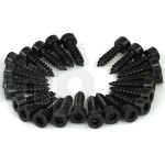 Set of 24 black steel screws 4 x 16 mm, cylindrical head, hexagon socket recess