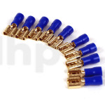 Set of 10 gold-plated 6.3 mm female Fast-on terminals, bleu insulation, for 1.5 to 2.5 mm² conductor
