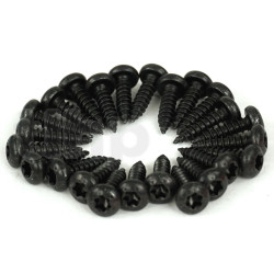 Set of 24 black steel screws 3.9 x 15 mm, rounded head, torx recess
