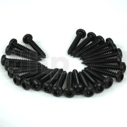 Set of 24 black steel screws 4.2 x 25 mm, button head, torx recess