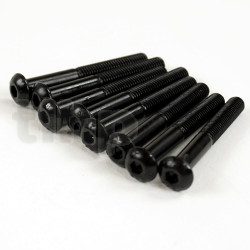Set of 8 black steel screw, M5 diameter, 40 mm lenght, pan head