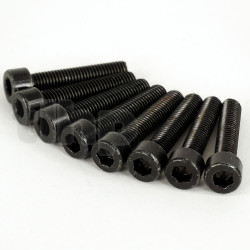 Set of 8 black galvanized steel screw, M8 diameter, 40 mm lenght, cylindrical head