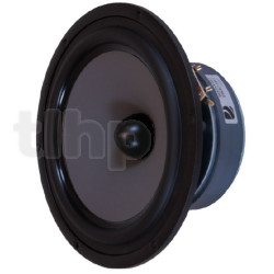 Pair of speaker SEAS W22NY003, 8 ohm, 221 mm