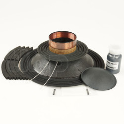 Recone kit B&C Speakers 10NW76, 8 ohm, glue not included