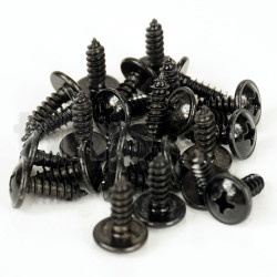 Set of 24 black steel screw, 4.2 mm diameter, 13 mm lenght, domed cylindrical head