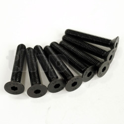 Set of 8 black steel screw, M5 diameter, 30 mm lenght, countersunk head