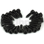 Set of 24 black steel screws 4 x 16 mm, cylindrical head, hexagon socket recess