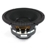 Coaxial speaker Radian 5210, 8+16 ohm, 10 inch