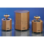 Subwoofer kit Visaton FONTANELLA SUB ST,  with double voice coil speaker GF 200 (without cabinet)