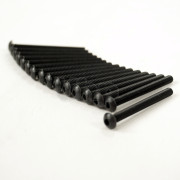 Set of 16 black steel screw, M4 diameter, 40 mm lenght, pan head